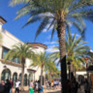 Meet your Posher, Tyler